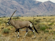 Namibia